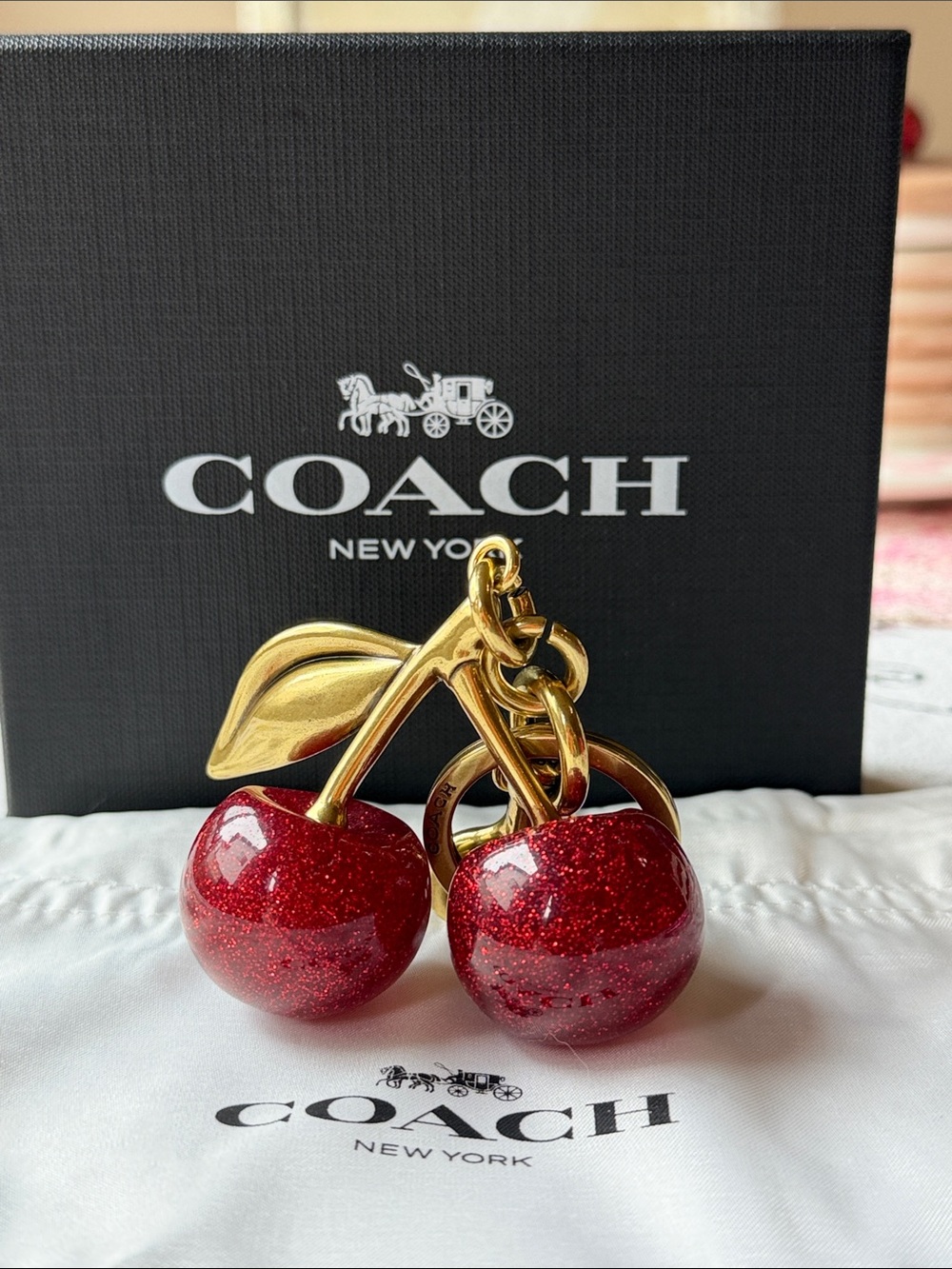 🍒 COACH CHERRY BAG CHARM KEYCHAIN 🍒 NWOT 🍒